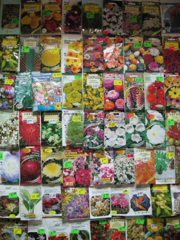 Купить хорошие семена цветов можно в гипермаркетах Бауцентр